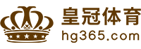 Logo 新宝GG娱乐